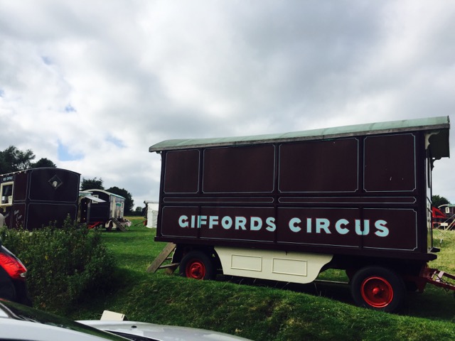 Giffords 1