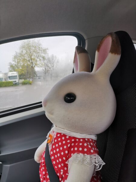 Rabbit
